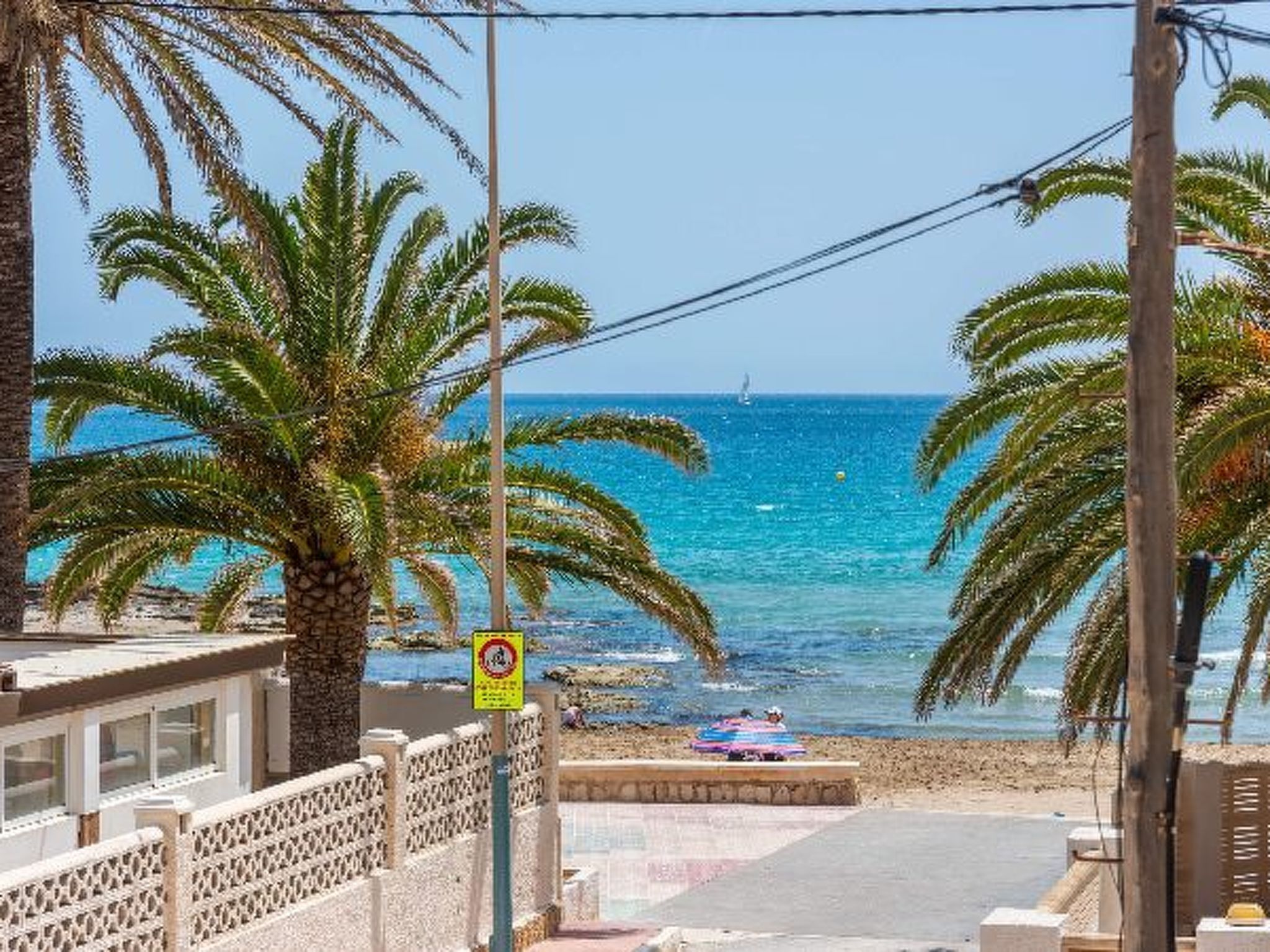 Vista costera con palmeras, una playa y cielo despejado.