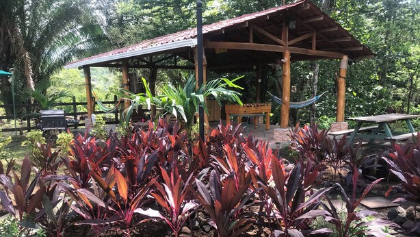 A covered outdoor area with a wooden structure, surrounded by various plants and a picnic table. - 2-bedroom private Oasis 1 hour from airport with AC - Pool, views and privacy. (San José)