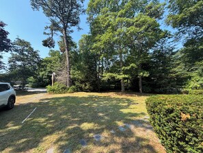 A grassy area with a white car parked on the left, surrounded by trees and a hedge on the right. - Enjoy the best of Cape Cod. Perfect. Private.Parking. Pets. Available Sept 1 (Dennis)