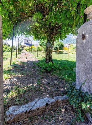 A pathway leading through a garden with a tree and a stone wall. - The Priory Gardens (CLERY)