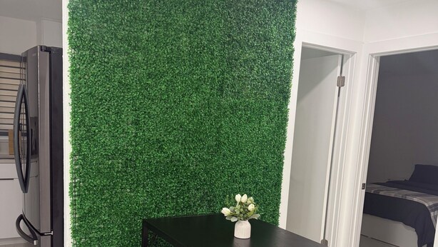 A room with a green wall, a black table with a vase, and a bed in the background. - Modern unit with premium finish, porcelain floor and rain fall shower (Hollywood)