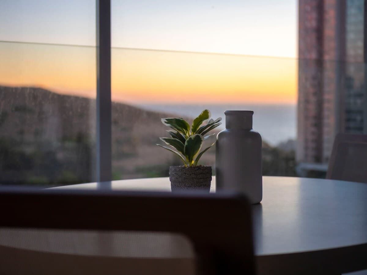 Ein Topfpflanzen auf einem Tisch mit einer Flasche, mit Blick auf eine Stadtlandschaft bei Sonnenuntergang.