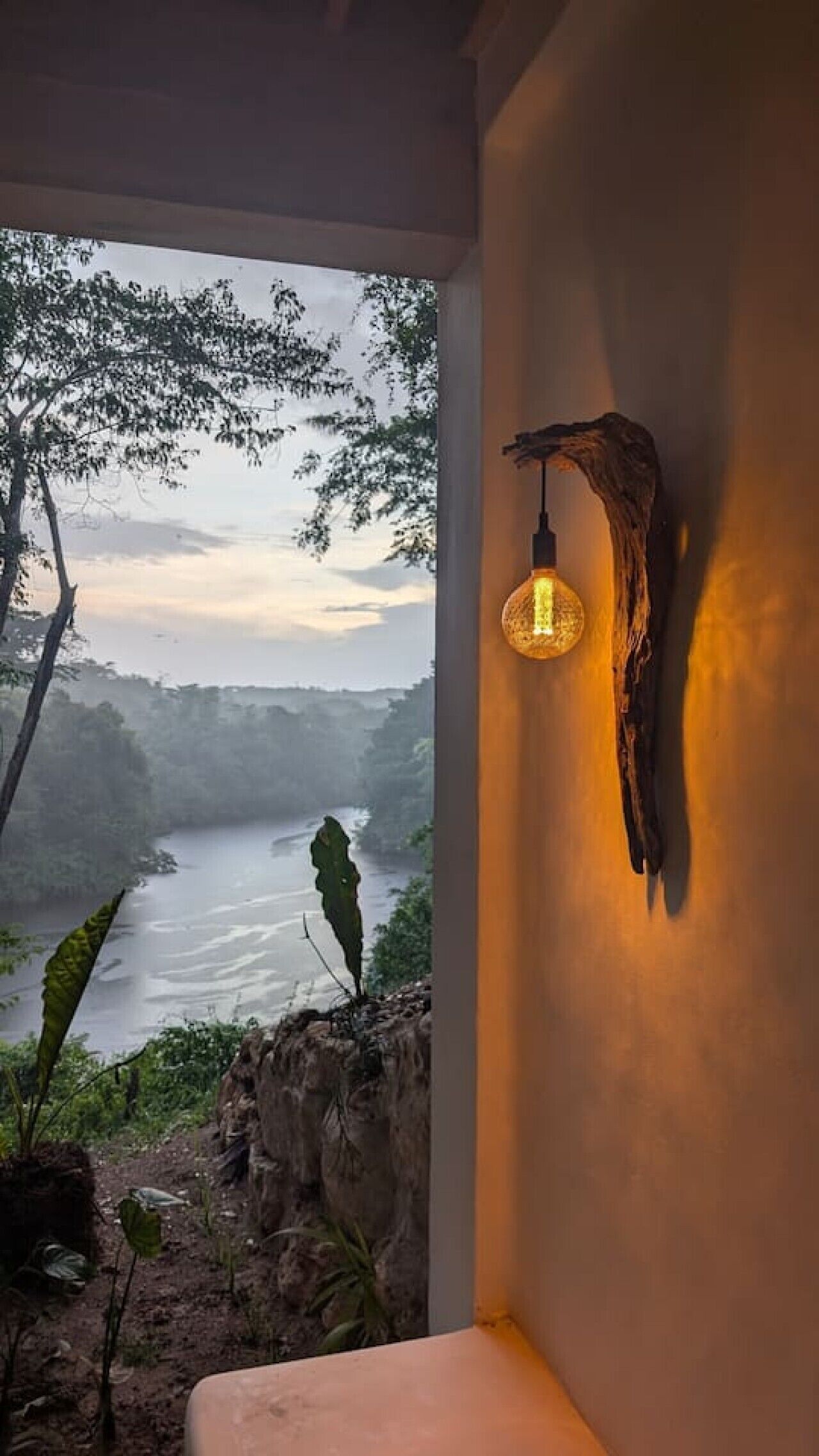 Une pièce avec vue sur une rivière, un luminaire fixé au mur et une plante.