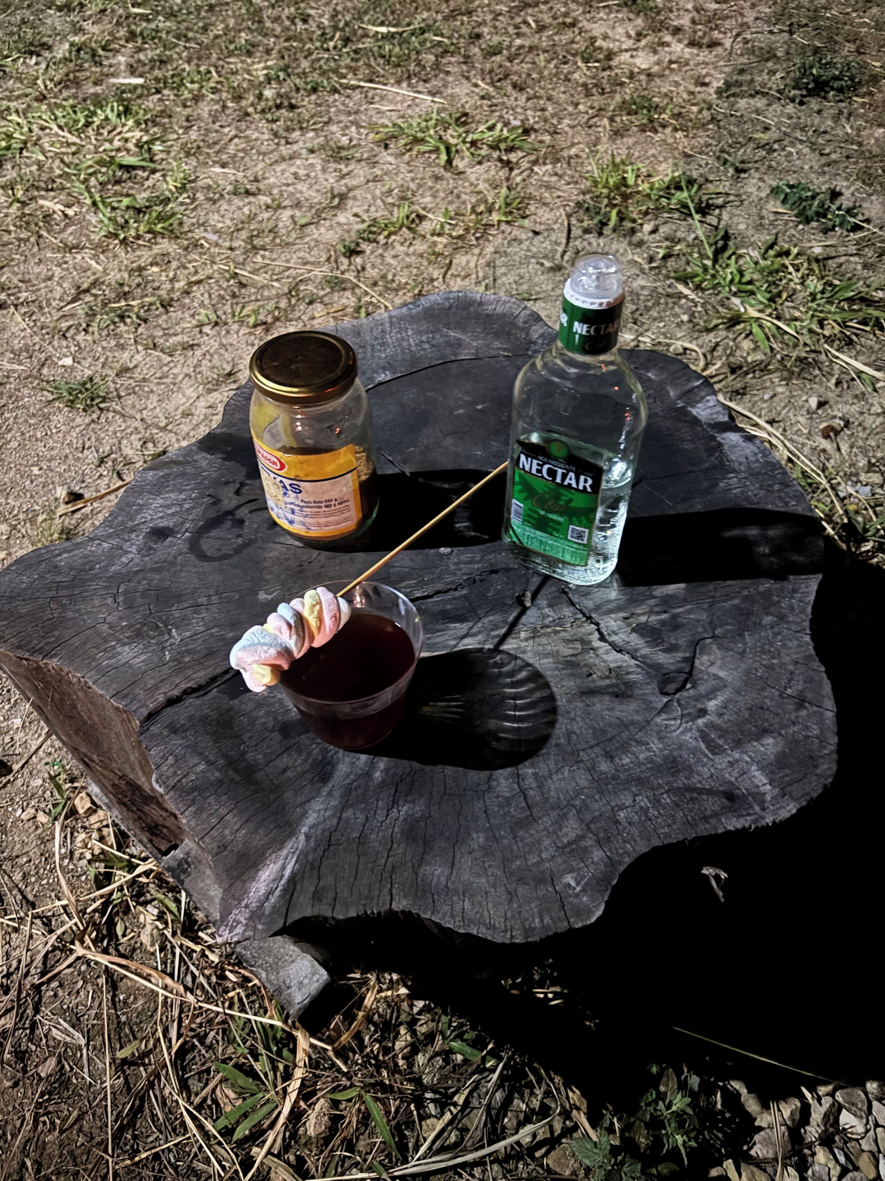 A wooden stump with a jar of honey, a bottle of water, and a small bowl with a spoon.