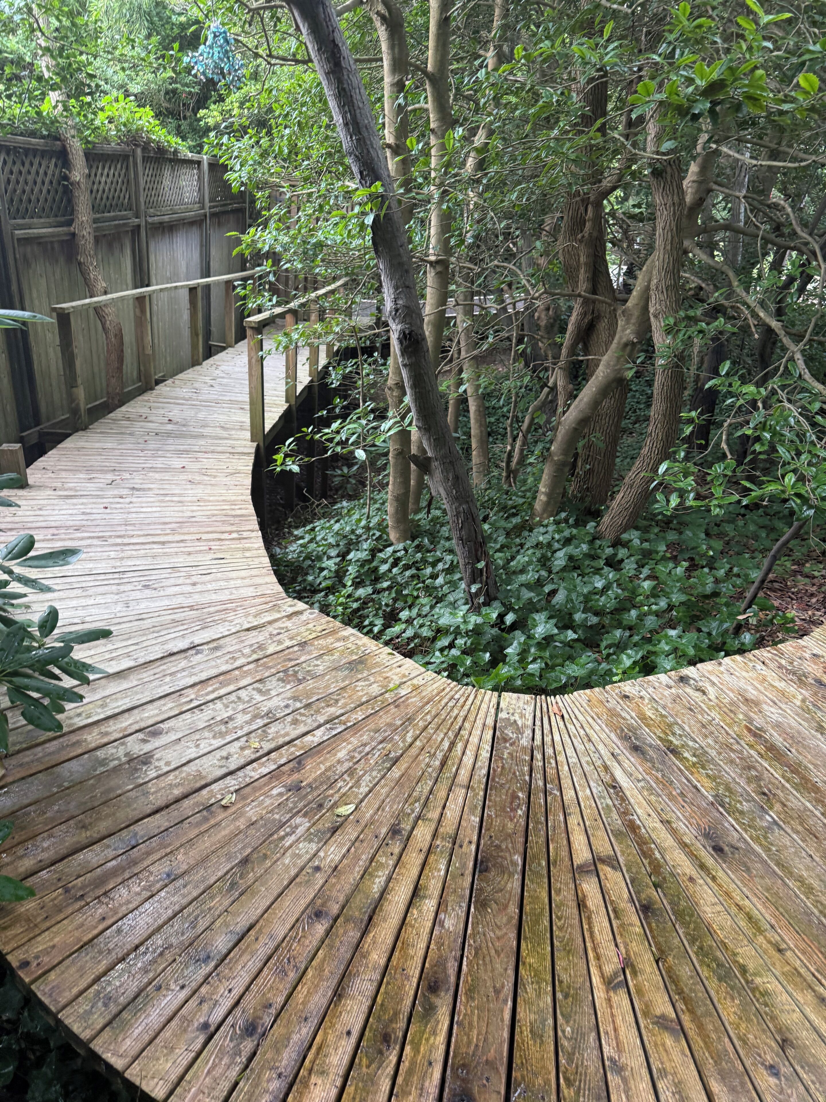 Jardines del alojamiento