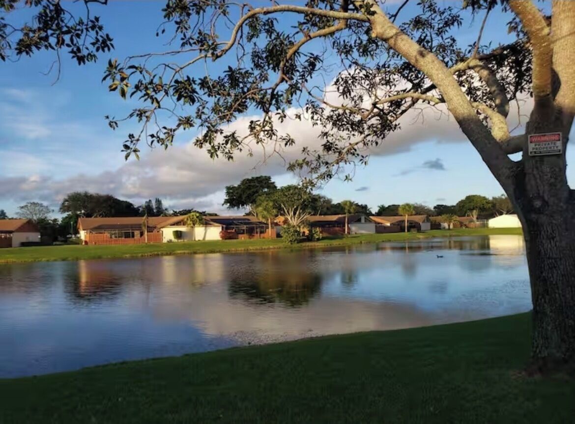 A residential area with a pond, houses, and a tree with a sign.