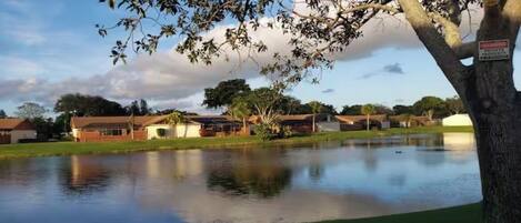 A residential area with a pond, houses, and a tree with a sign.