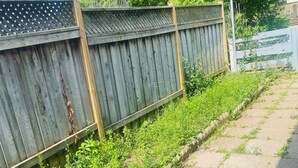 A wooden fence, a paved pathway, and dense greenery. - Apartment for rent (Toronto)