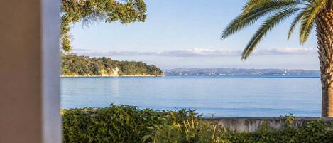 A coastal view with a palm tree, a body of water, and a distant shoreline.