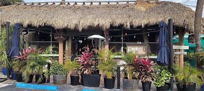 Exterior - Walk to Siesta Key Beach and Village - Beautifully Renovated 2BR Condo (Siesta Key)