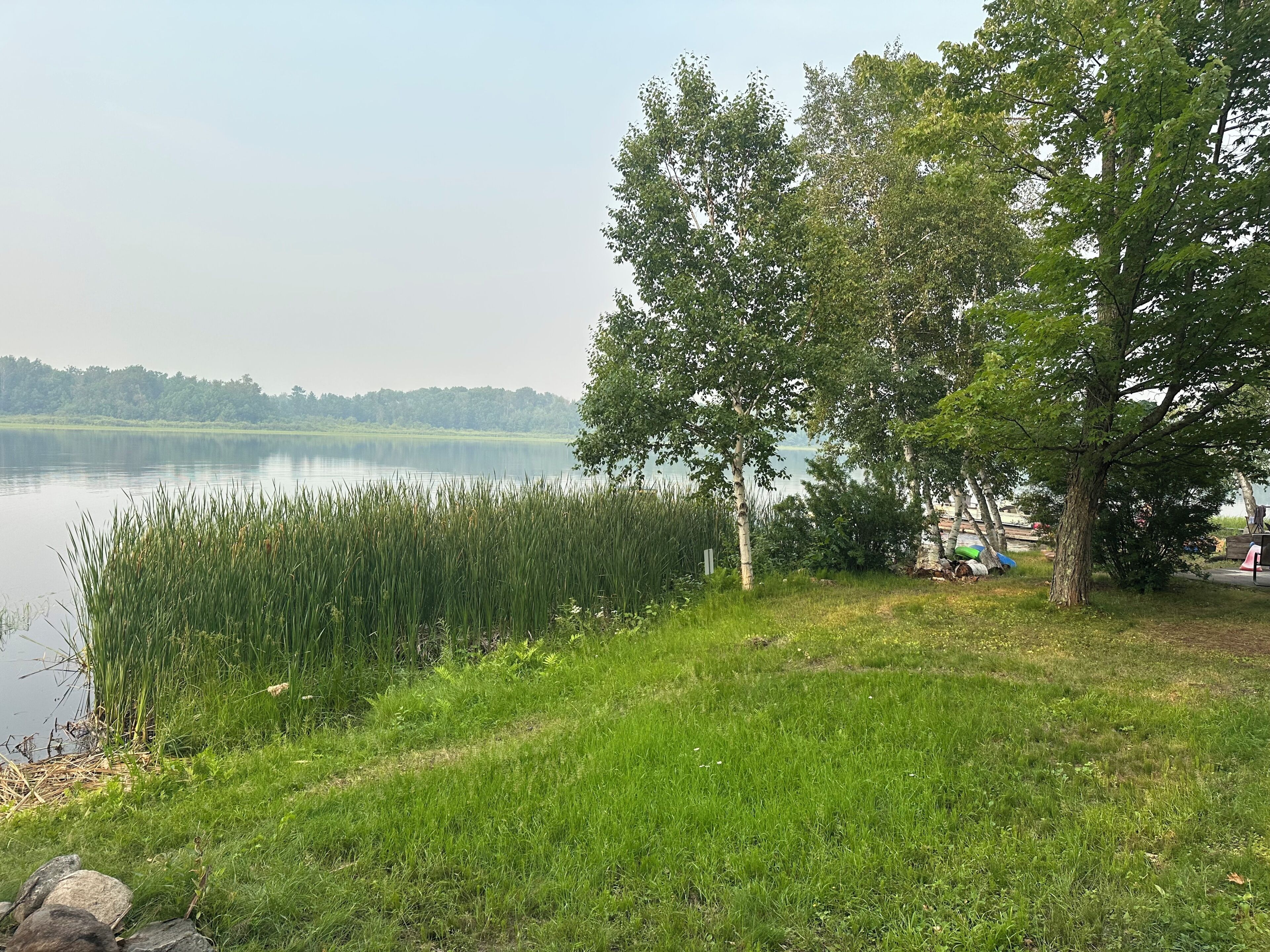 Vista sobre un llac amb gespa, arbres i un cos d'aigua tranquil·la.