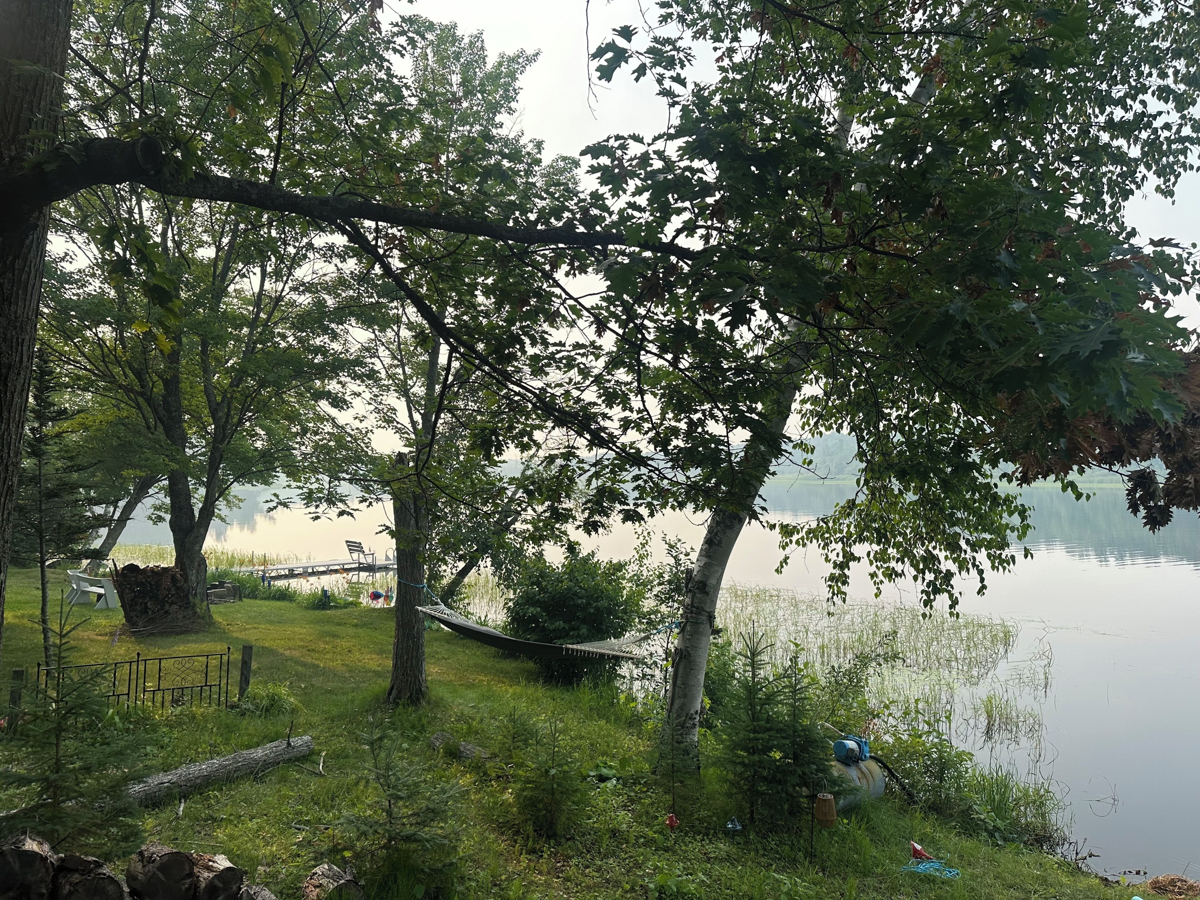 A lakeside campsite with trees, a hammock, and a wooden bench.