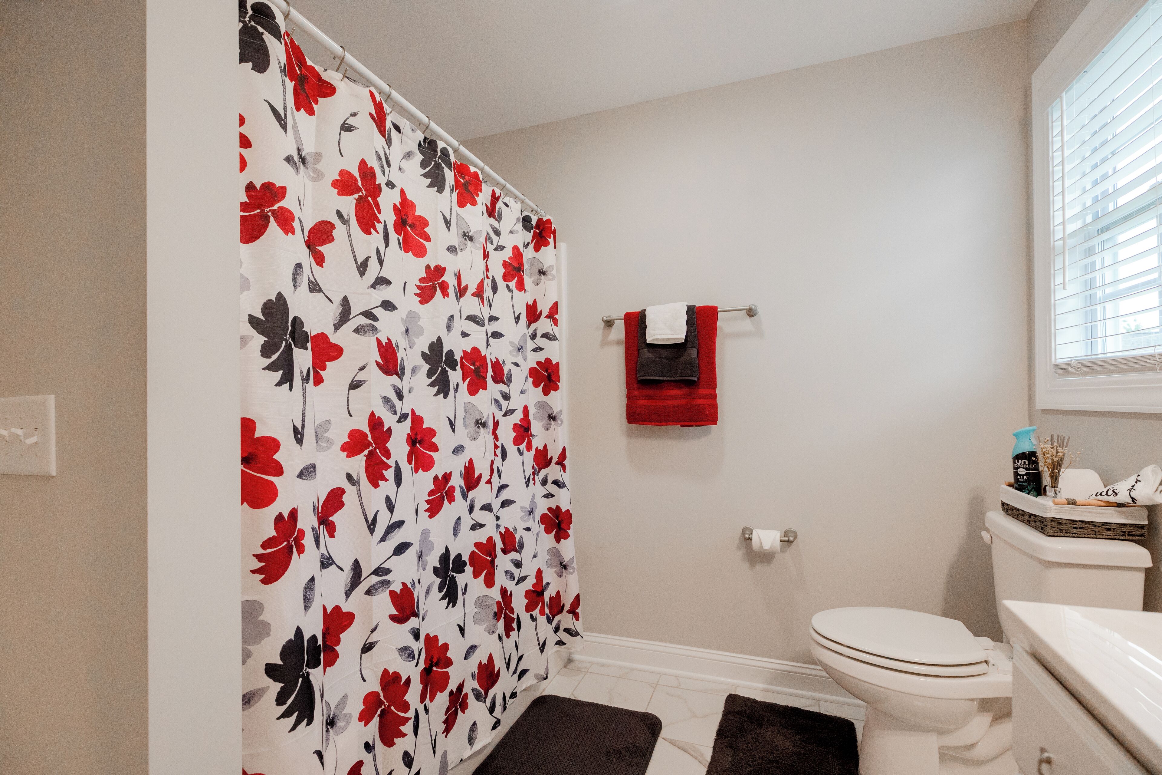 Hair dryer, towels, soap, toilet paper