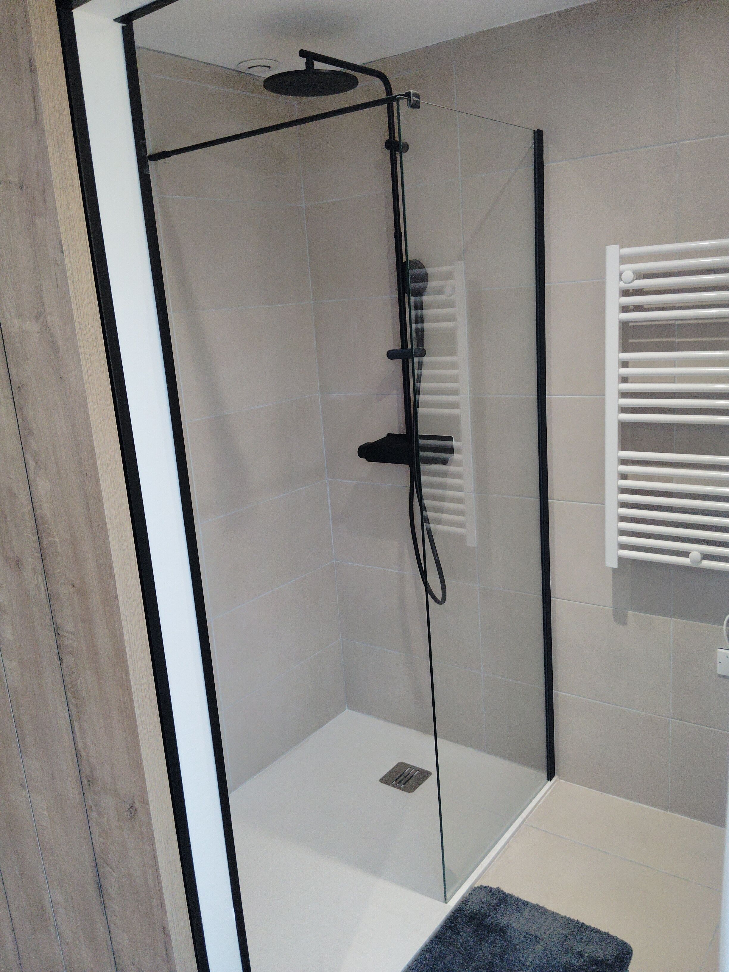 Shower, towels, toilet paper