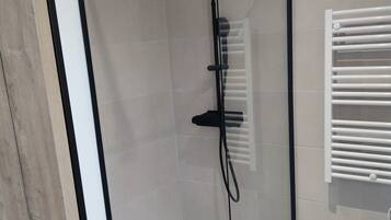 Shower, towels, toilet paper