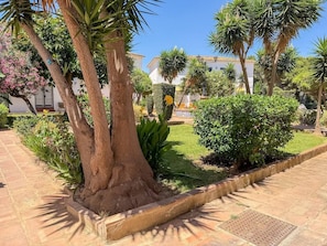 Ein Garten mit Palmen, einem Weg und einem Gebäude im Hintergrund.