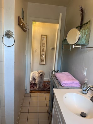 Bathroom - Perfect 3 bedroom house with AC in awesome Petaluma neighborhood near downtown (Petaluma)