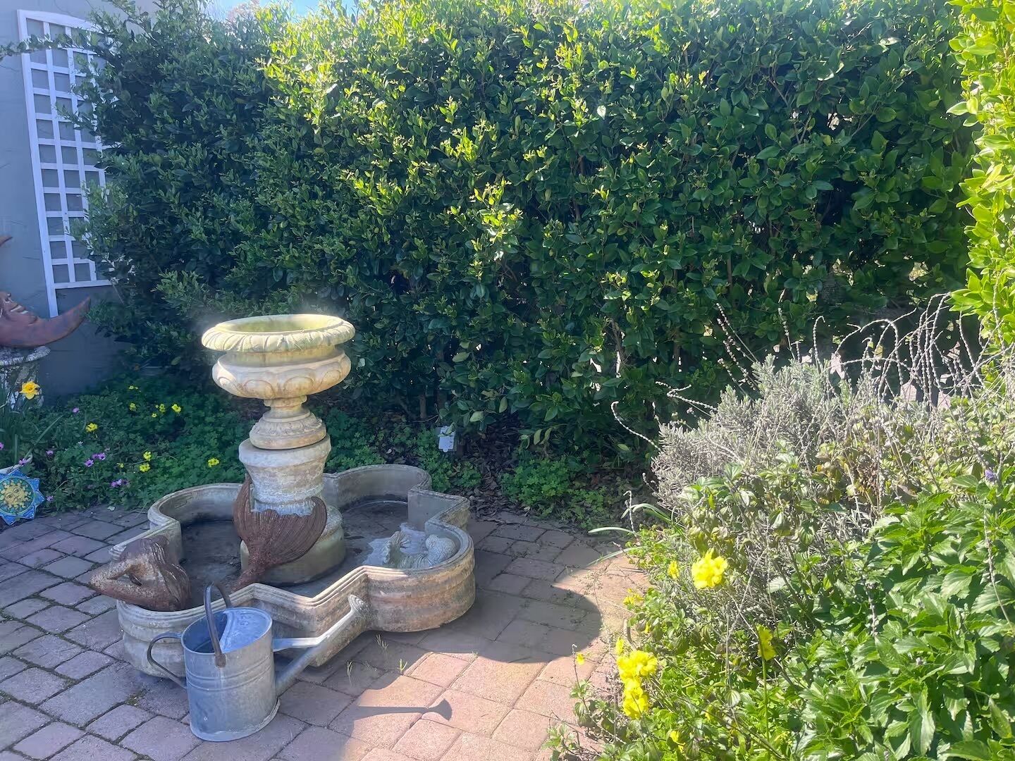 A garden with a stone fountain, a metal bucket, and a hedge.