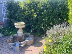 A garden with a stone fountain, a metal bucket, and a hedge. - Perfect 3 bedroom house with AC in awesome Petaluma neighborhood near downtown (Petaluma)