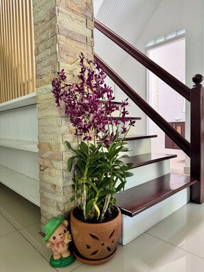 Eine Treppe mit einem Topf-Orchideenstrauch und einer Teddybärendeko.