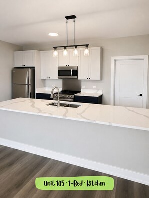 Private kitchen - Luxury 1BR Apartment at Huntley Crossing --Near I-90---Huntley Illinois (Huntley)