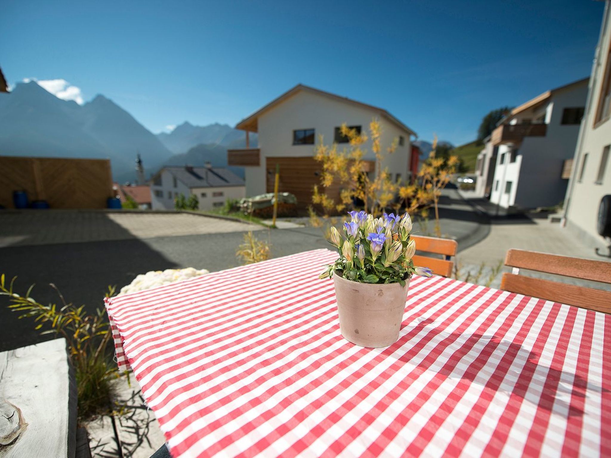Une nappe à carreaux rouges et blancs, avec un pot de plante placé sur une table.
