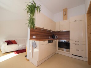 A compact kitchen with a built-in oven, a coffee maker, and a hanging plant. - Chasa Berry, (Ftan) by Interhome (Ftan)