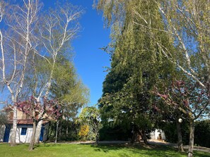 A residential area with a large tree, a small building with blue doors, and a clear blue sky.