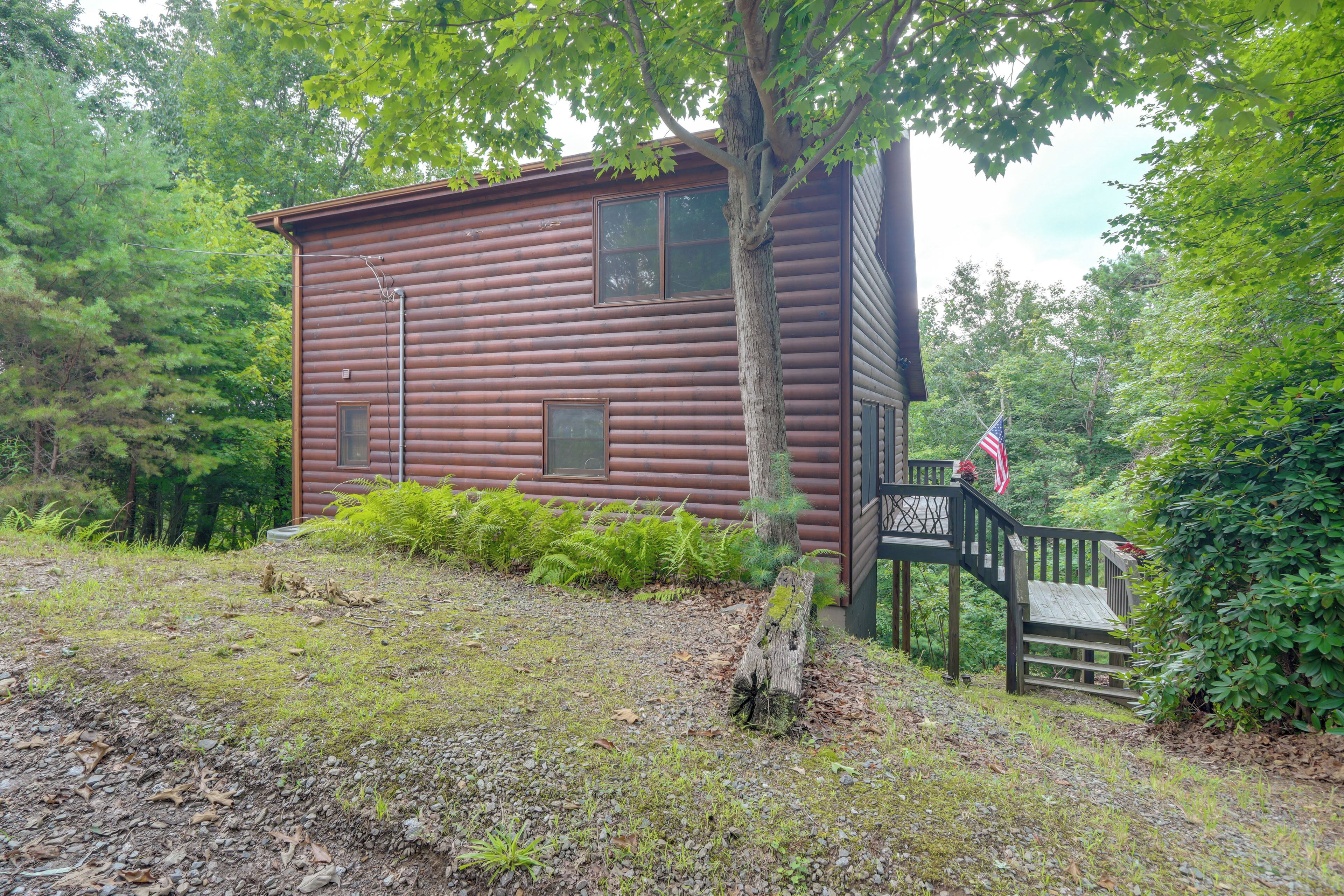 A wooden cabin with a porch and a flag, surrounded by trees and greenery.
