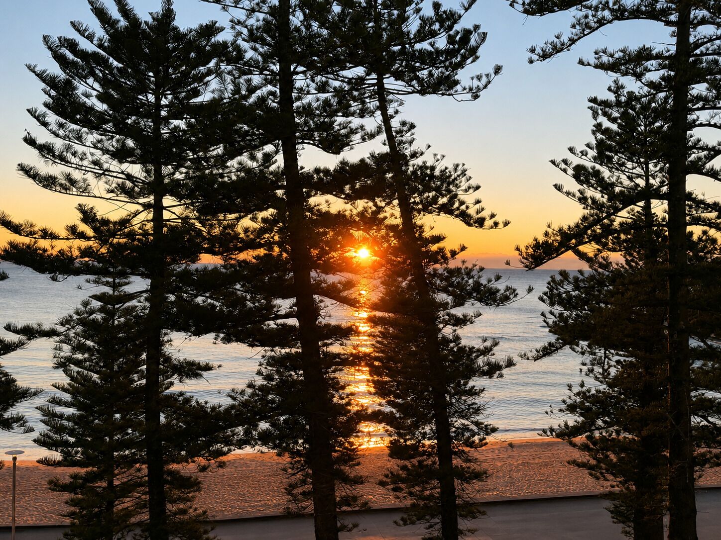 A sunset view with trees framing the scene.