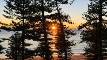 A sunset view with trees framing the scene.