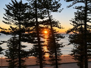 A sunset view with trees framing the scene. - 
ForeverSunday Coastal* - Stay on the Golden Mile  - right in the heart of Manly (Manly)