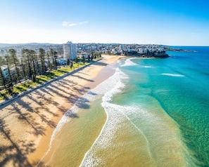 Vista aérea de una zona costera con una playa, un paseo marítimo bordeado de árboles y un conjunto de edificios al fondo.
