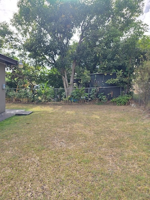 A grassy yard with a tree, a fence, and a building in the background. - Spacious 2BR Home with Private Parking & Large Patio. (Frere Pilgrim)