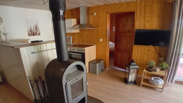 Ett mysigt rum med en vedeldad kamin, en liten köksdel, en tv och en trädörr.