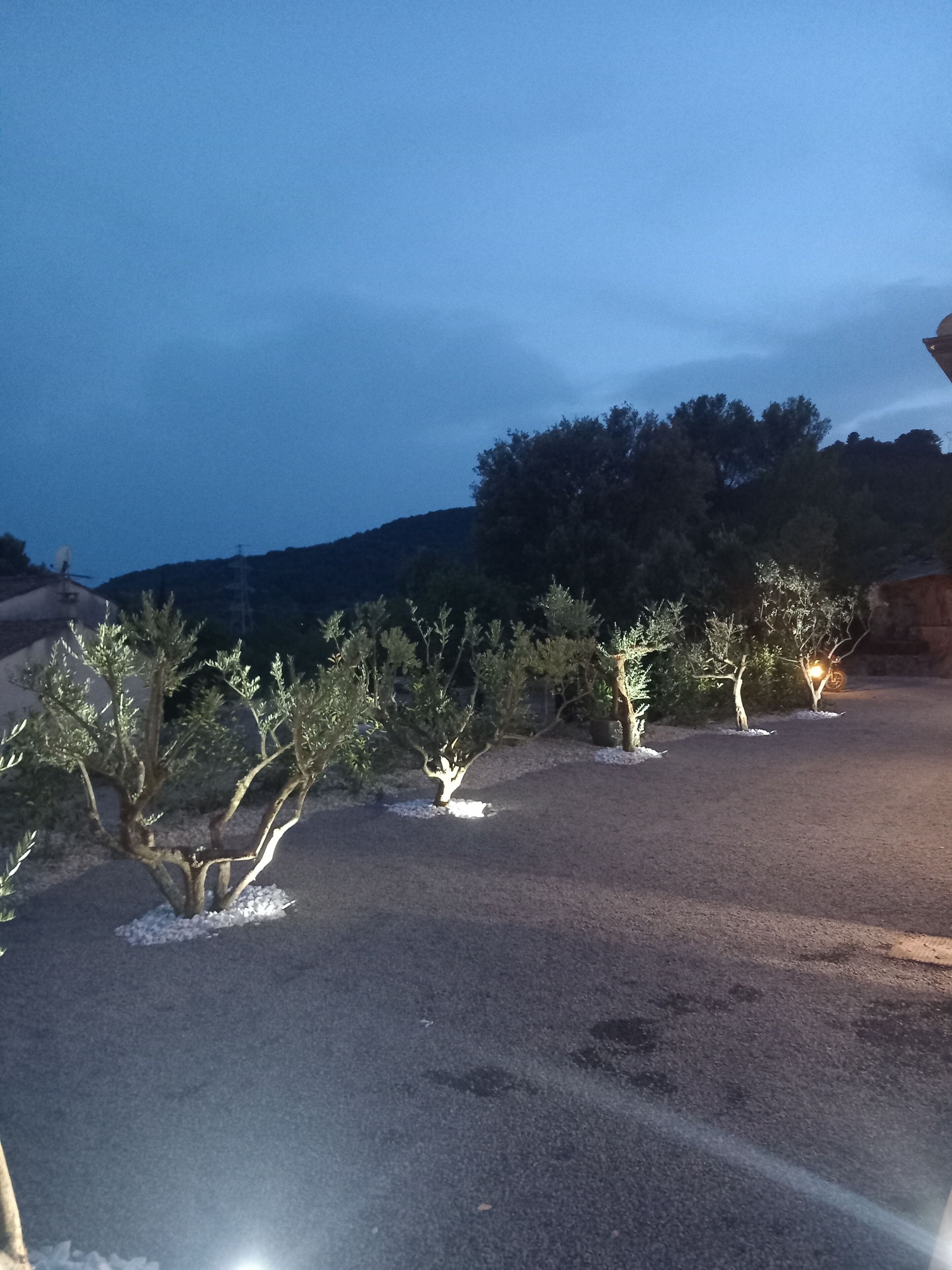 Une zone pavée avec de petits arbres et des arbustes, une colline au loin et un bâtiment doté d’une antenne parabolique.