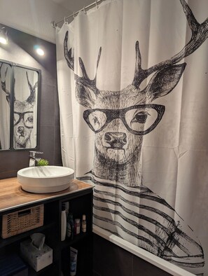 Hair dryer, towels, soap, shampoo - Le Cerf Blanc, appartement de charme, proche des pistes -Les Angles- (Les Angles)