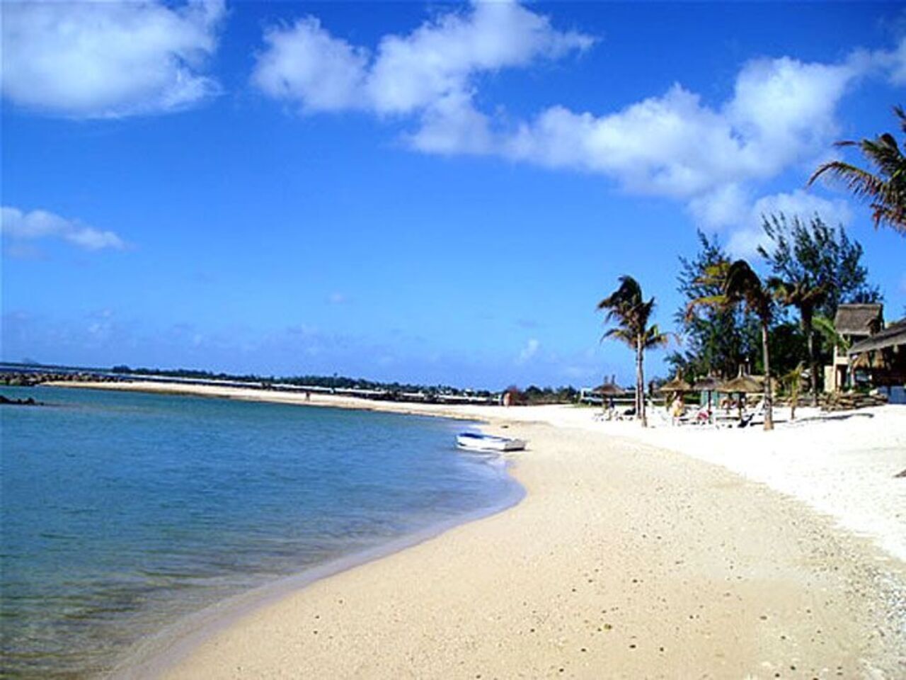 A beach with a boat, palm trees, and a clear sky.