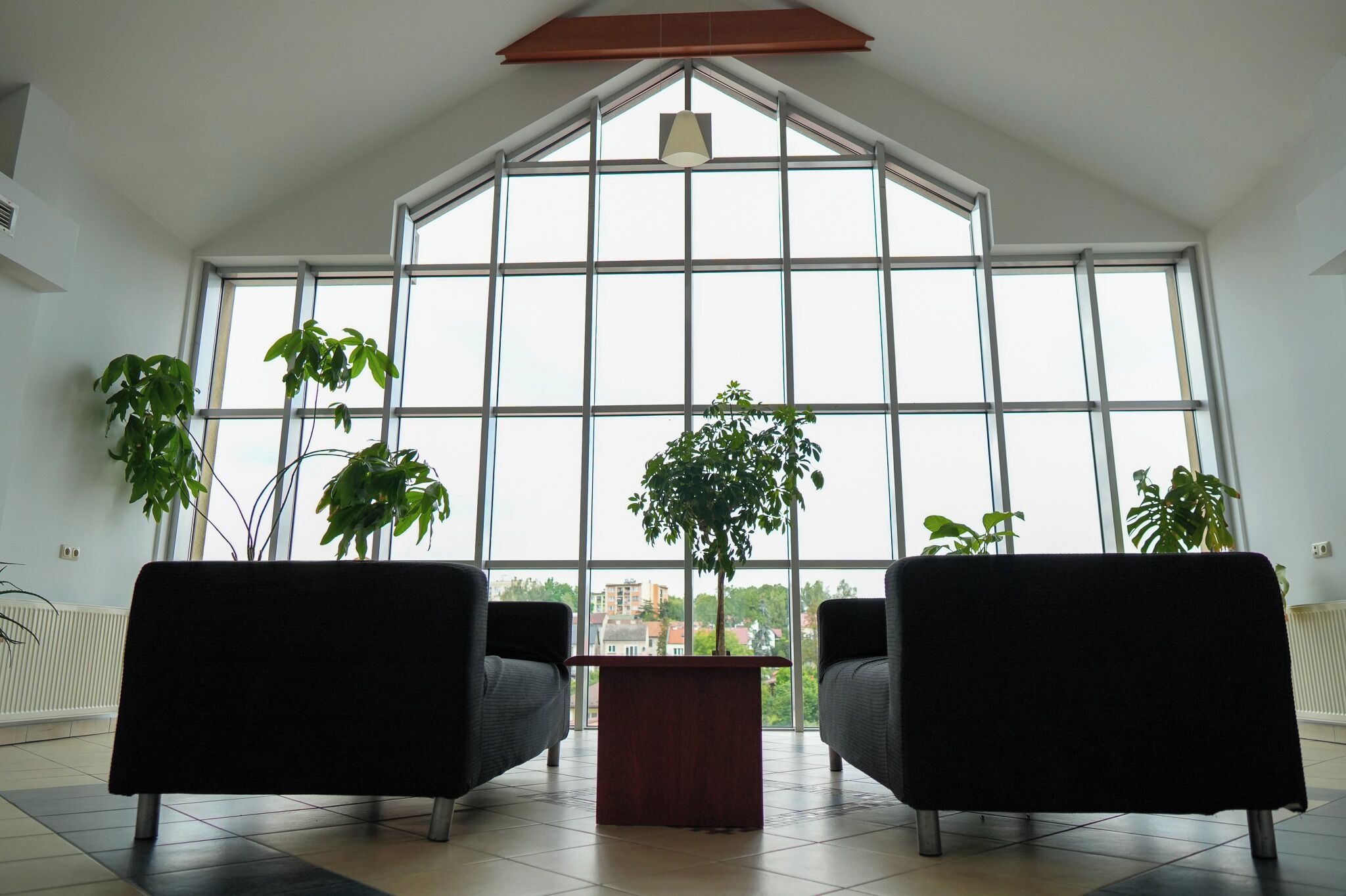 A spacious room with large windows, two black sofas, a central coffee table, and several potted plants.