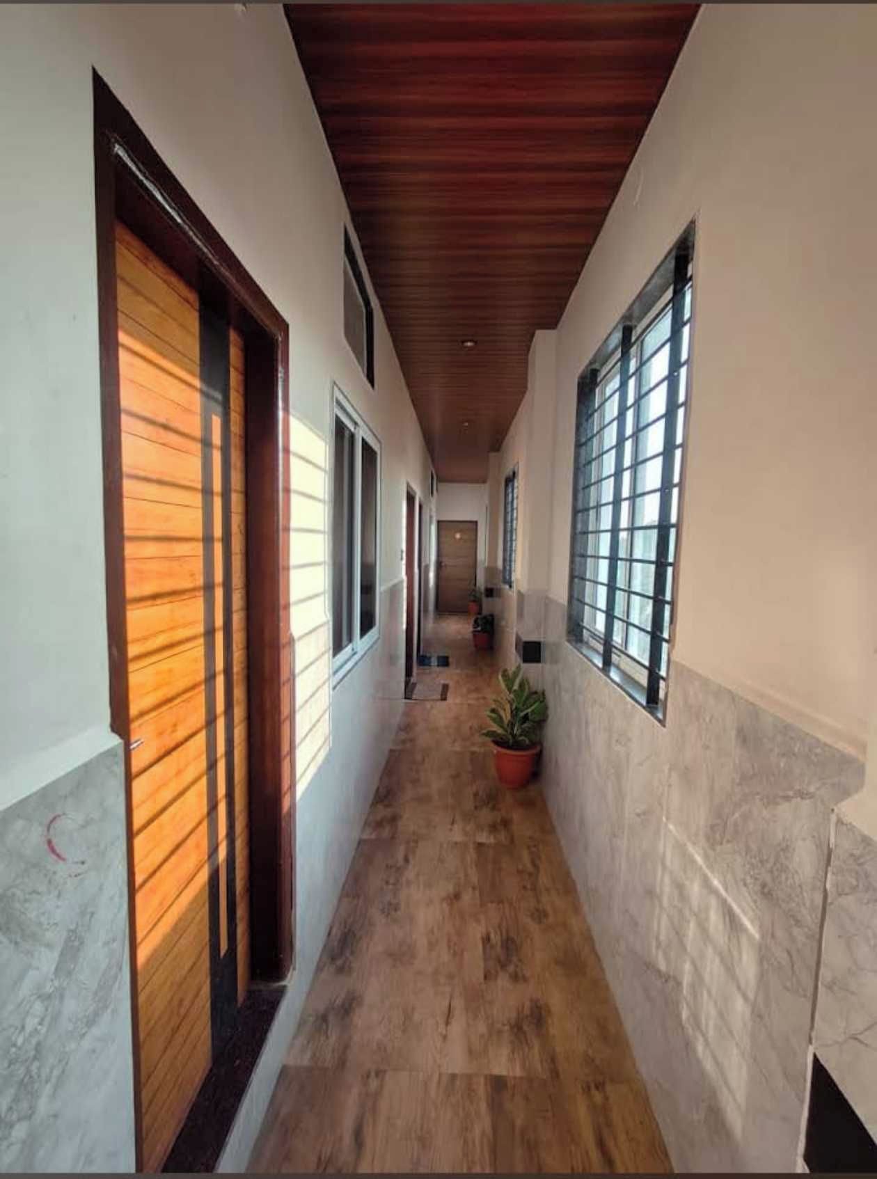 Un pasillo con puertas de madera, ventanas y una planta en maceta.