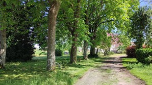 Un sentier de terre bordé d’arbres et de verdure.