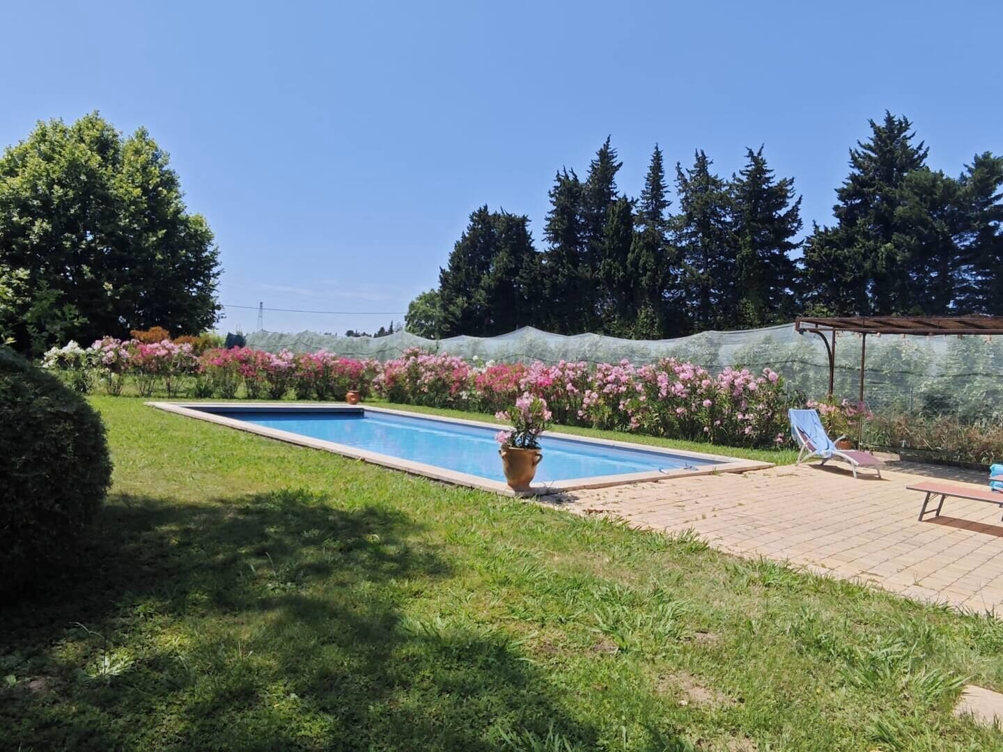 A swimming pool with a patio area, surrounded by a garden with pink flowers and tall trees.