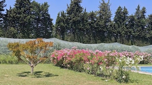 A garden with a pool, surrounded by trees and flowering plants. - One-bedroom apartment with a pool, in a Provençal farmhouse (Cavaillon)