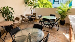 An outdoor patio area with round tables and chairs, surrounded by potted plants. - Hotel Boutique Venecia CDMX (Mexico City)