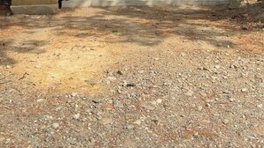 Una construcció de fusta amb una escala que condueix a una zona coberta, envoltada d'arbres.