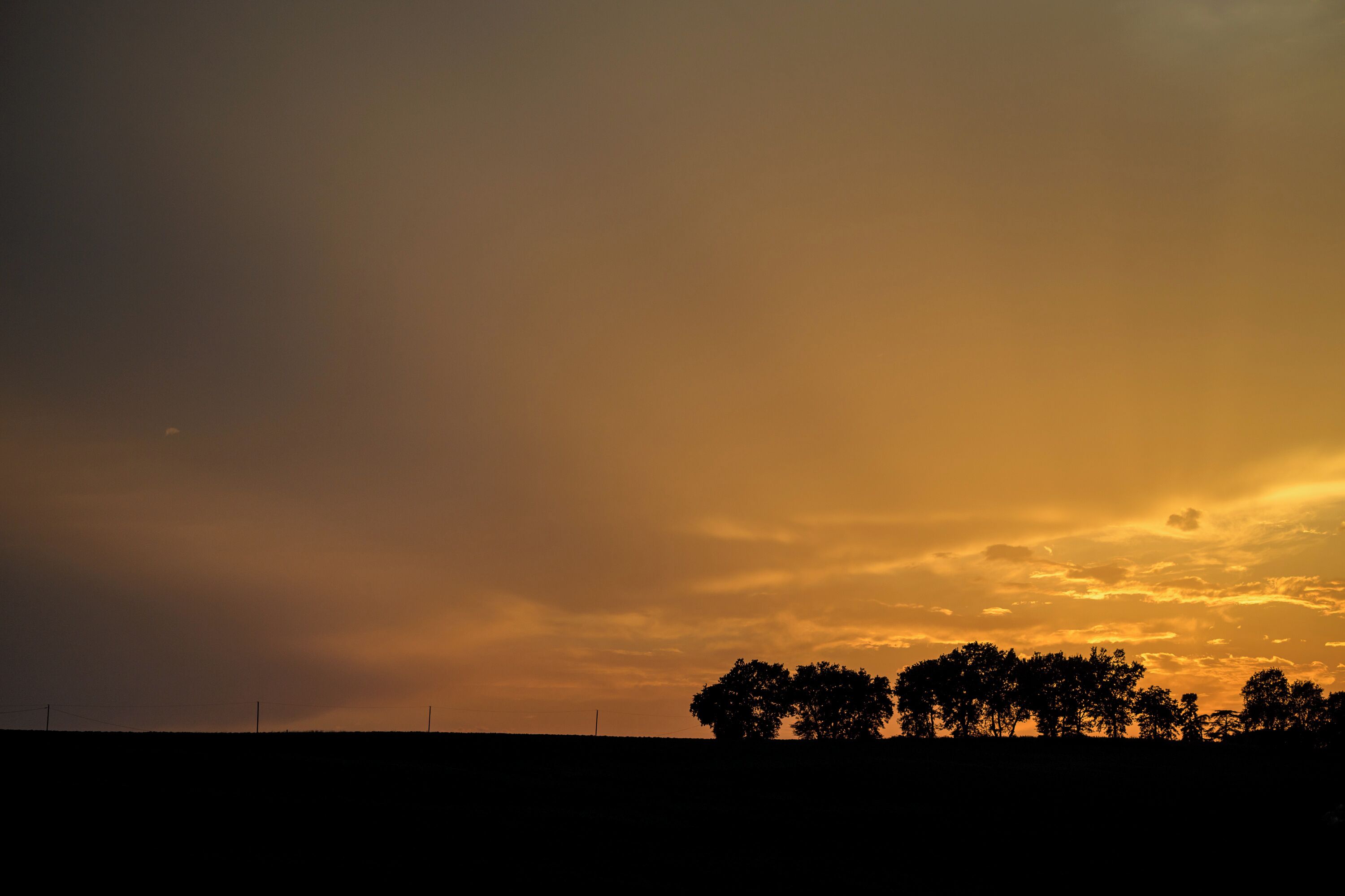 Silhuetas de árvores contra um céu ao pôr do sol.