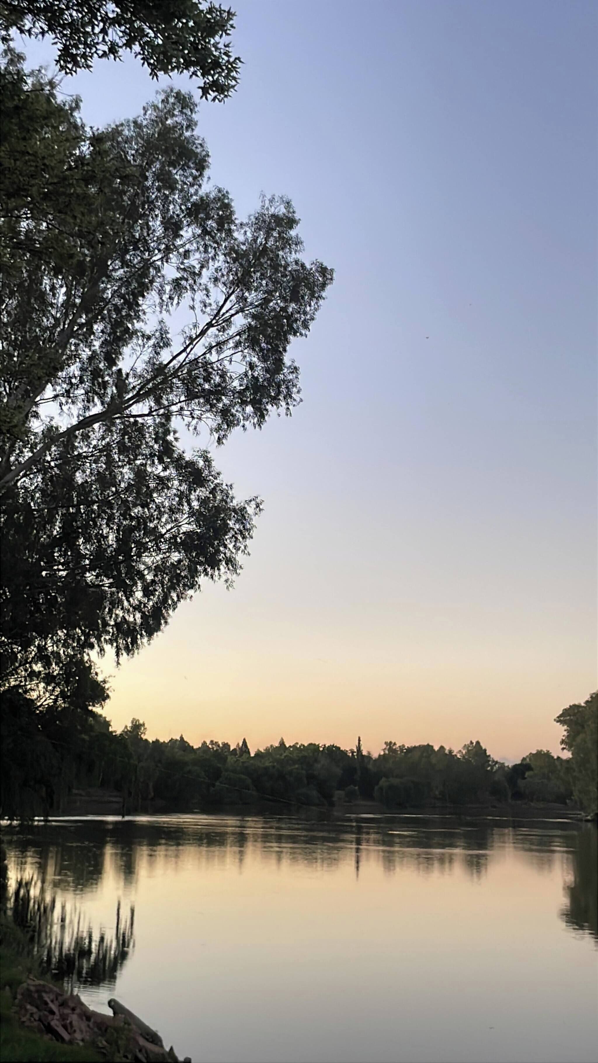 A calm lake with trees reflecting on the water, surrounded by a forested area.