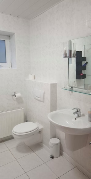 Hair dryer, towels, soap, toilet paper - Tina's Cozy Vacation Rental (54 m²) with a Terrace in Plettenberg (Sauerland) (Plettenberg)