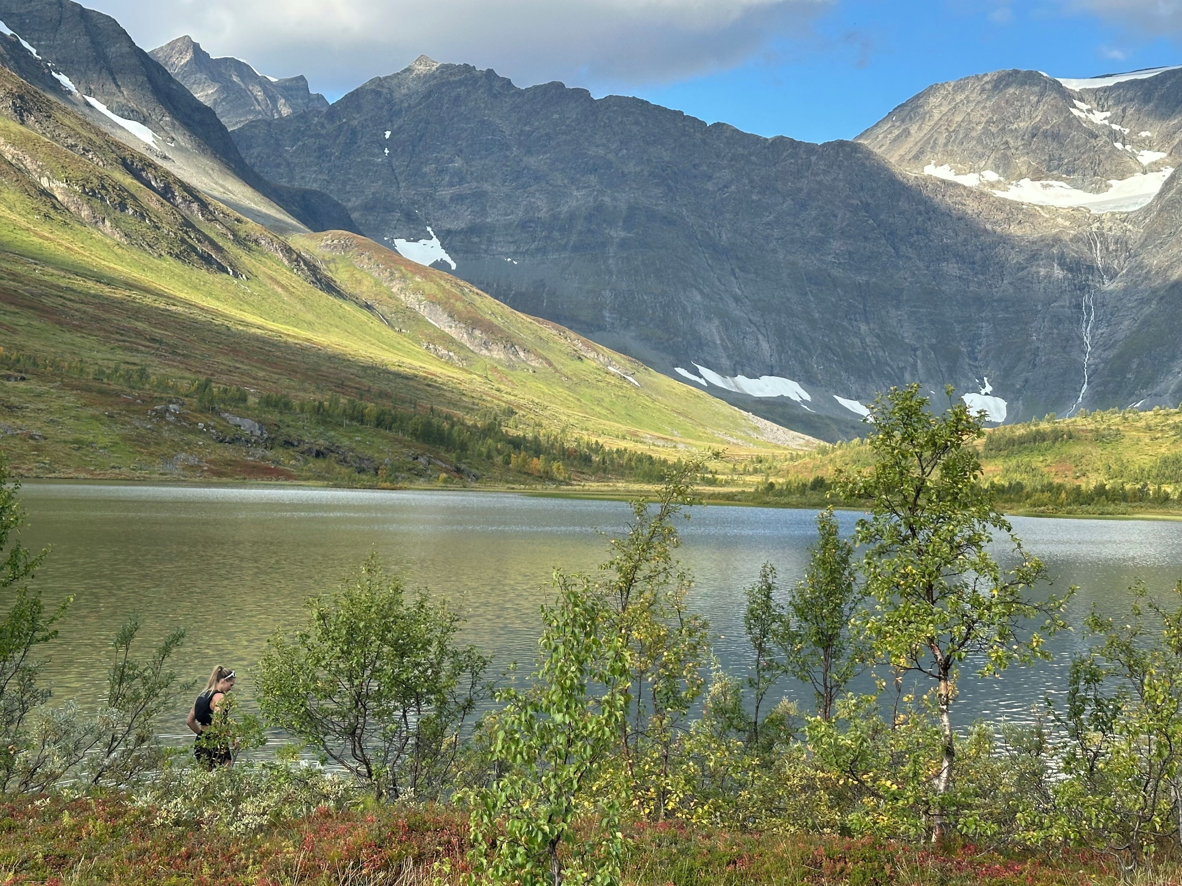 Eine Berglandschaft mit einem See, Bäumen und einer Person beim Angeln.