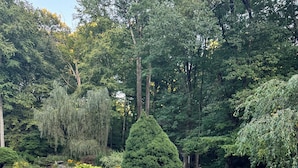 Un bain à remous entouré d’un jardin où poussent différentes plantes et arbres.
